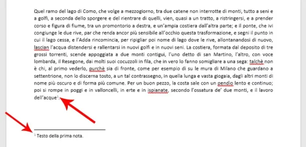 Come fare le note in una tesi di laurea. Guida completa agli stili di citazione e all'inserimento nel testo